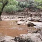 Evacúan a decenas de turistas del Gran Cañón tras fuertes inundaciones repentinas