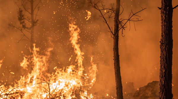 Incendio en Valle Nuevo.