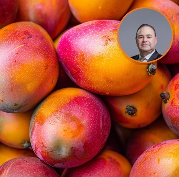 Ministro de agricultura habal sobre mangos