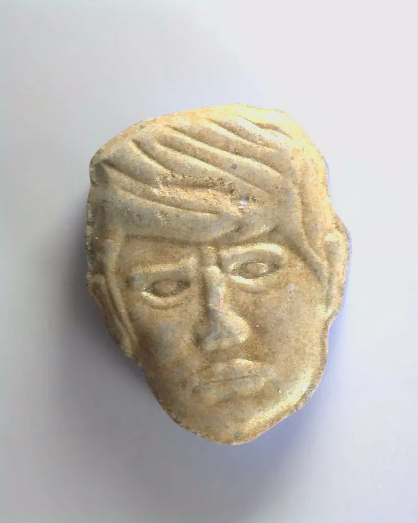 Emiten “alerta roja” por pastillas de éxtasis con forma de Trump que podrían ser letales