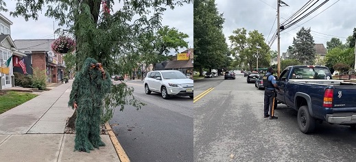 Policía en New Jersey con traje de arbusto de hojas falsas.jpg.