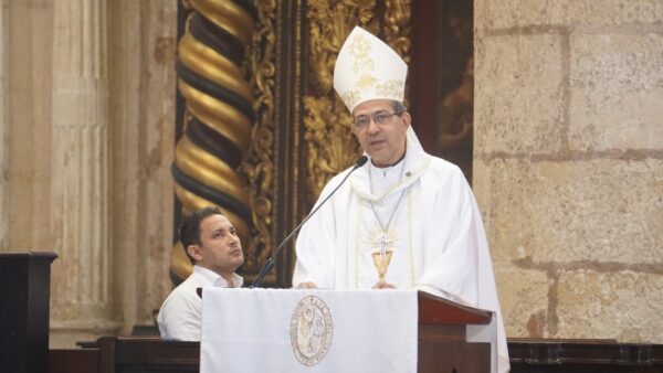 Morel Diplán