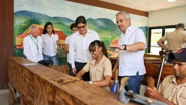 Director de Intabaco