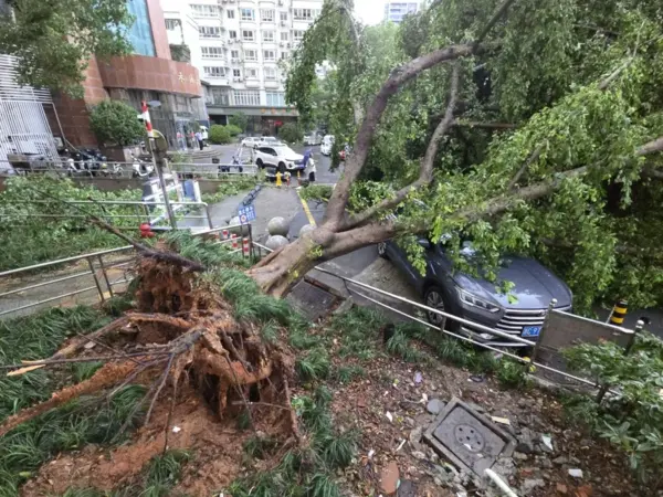 Coches destrozados tras el paso del tifón Dolphin en Wenzhou, China.