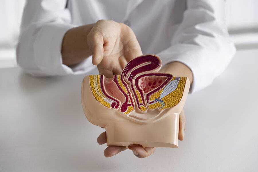 Tecnologías de alta precisión amplían opciones frente al cáncer urológico