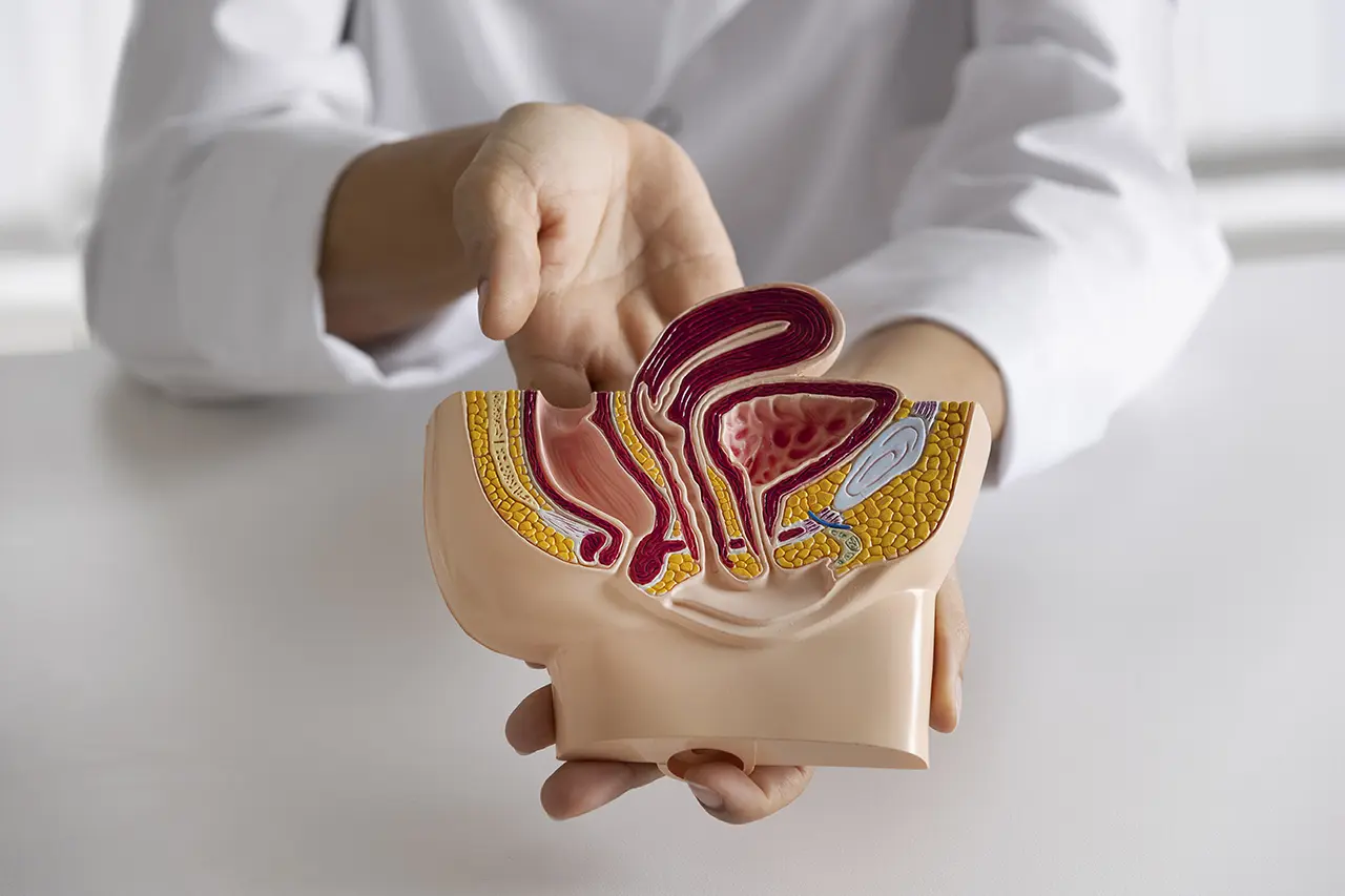 Tecnologías de alta precisión amplían opciones frente al cáncer urológico