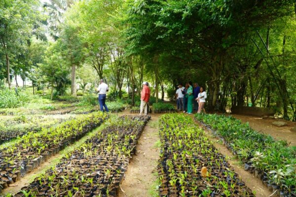 plantas Digecag