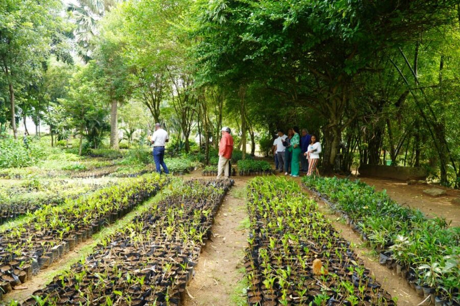 plantas Digecag