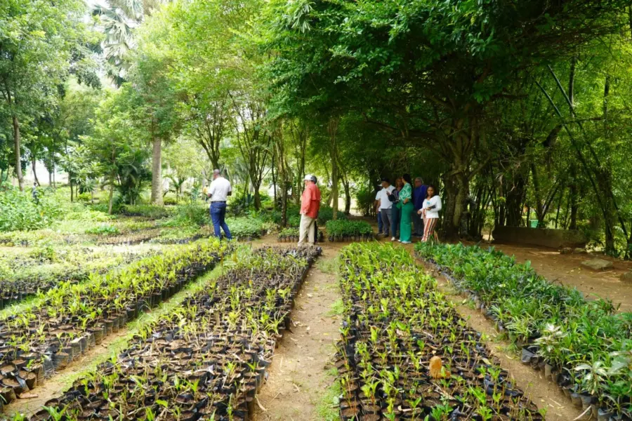plantas Digecag