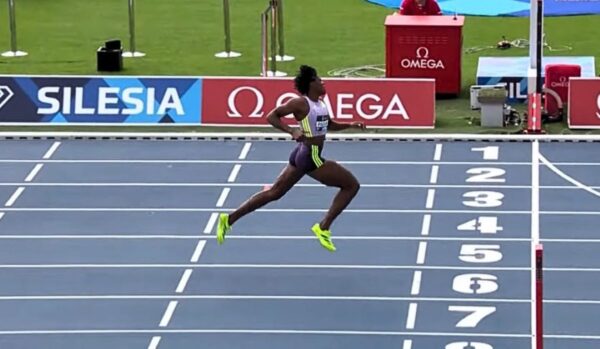 marilediy