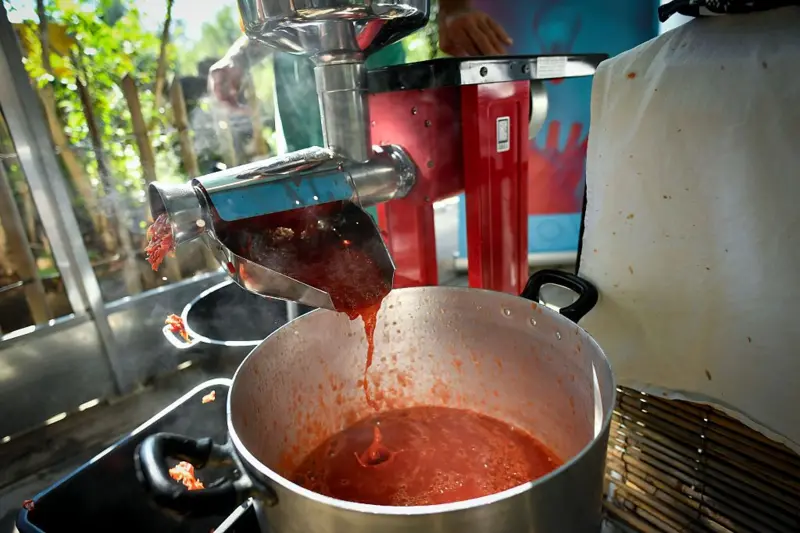 6 cambios sencillos para evitar los alimentos ultraprocesados