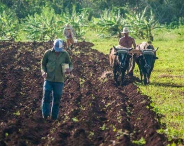 Autoridades introducen cambios por la situación económica.