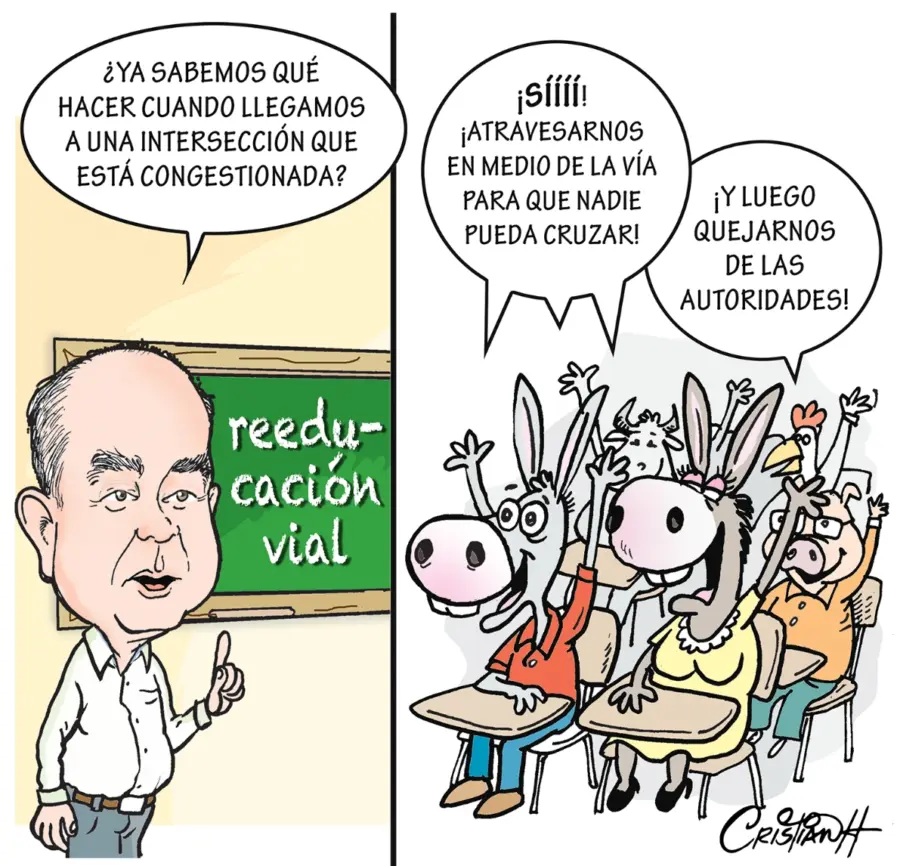 el carrusel de la vida