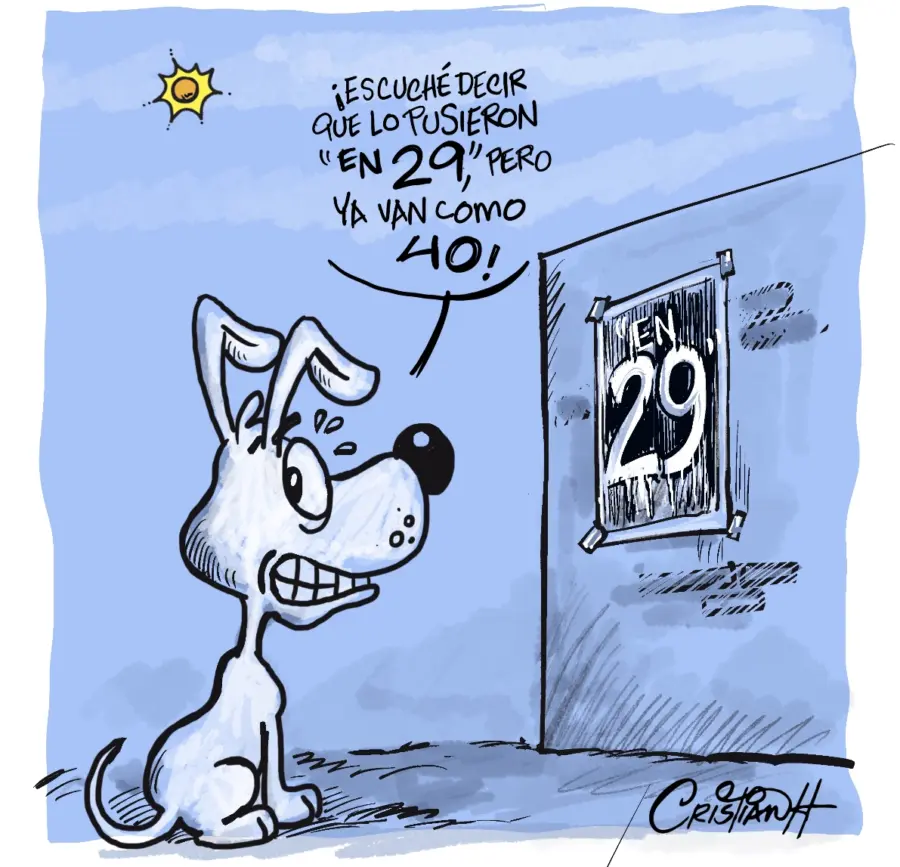 El carrusel de la vida