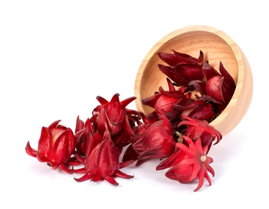 A la flor de Jamaica a la que se atribuyen también propiedades medicinales es una planta resistente a la sequía.