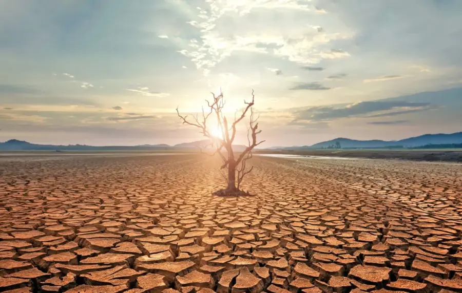 El Niño genera calor extremo y da señales de un planeta en transformación.