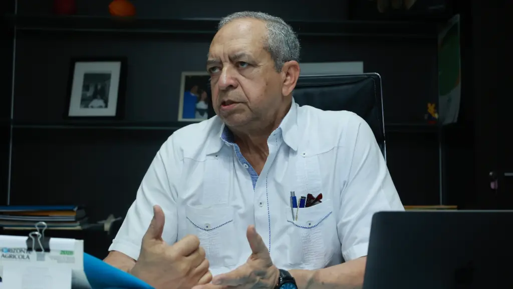 Renovación plantación cacao será clave elevar producción