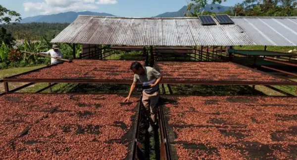 El desafío producción es que está vieja  y requiere recursos para financiar las nuevas plantaciones.