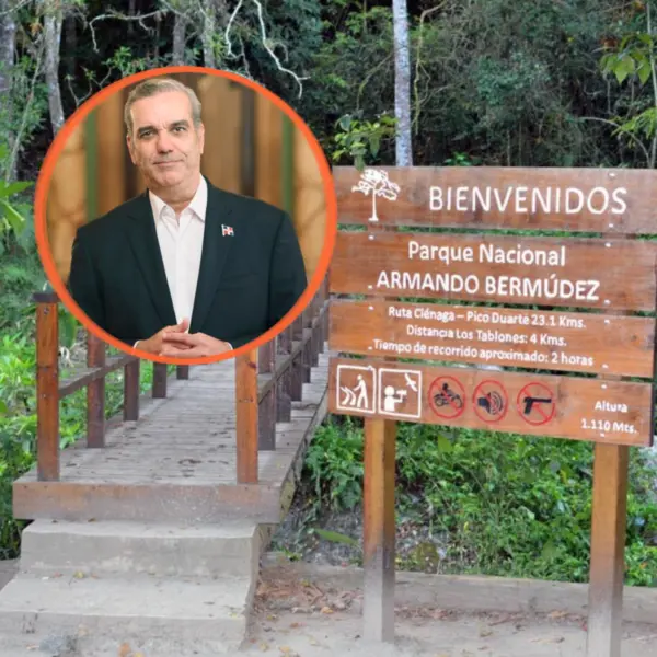 Diseño sin título