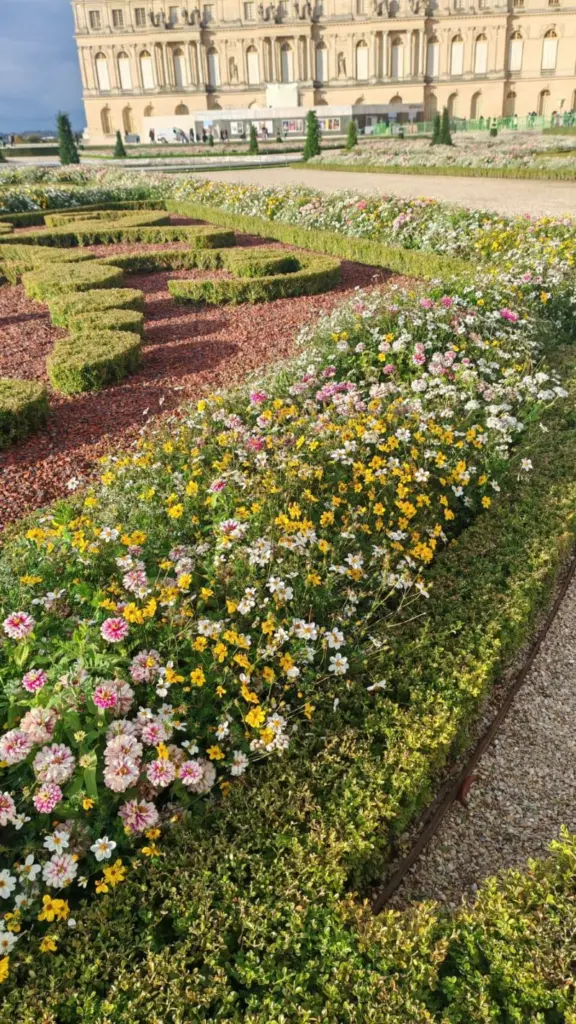 ¿Por qué hoy se regalan flores amarillas y qué se celebra el 21 de septiembre?