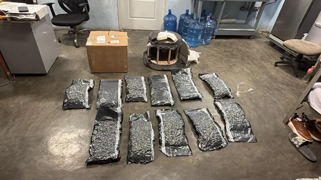 Decomisan 11 paquetes de presunta marihuana ocultos en un mueble en el AILA