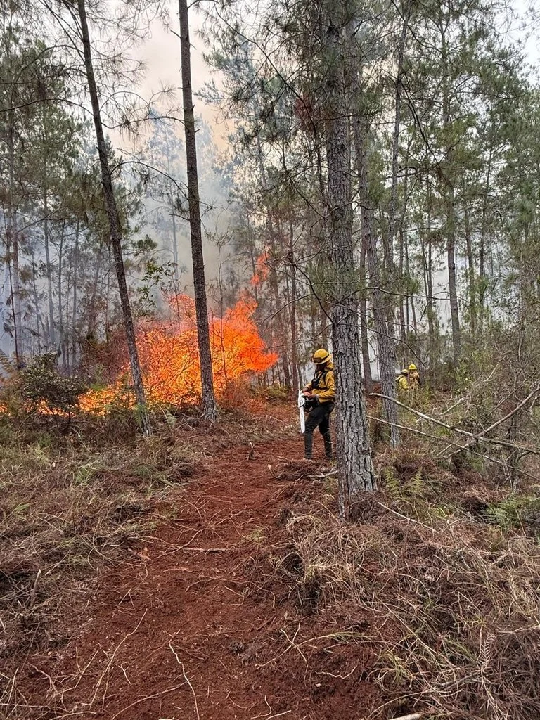 Tres de los incendios en Sierra de Bahoruco se han generado por descargas eléctricas naturales