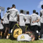 Águilas Cibaeñas reestructuran su roster y licencian a 15 jugadores