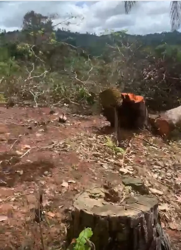 Monte Plata enfrenta conflictos por tierras, invasiones y procesos judiciales prolongados