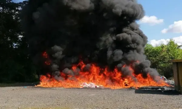destruyen drogas en Pedro bran