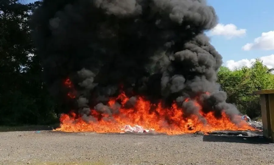destruyen drogas en Pedro bran