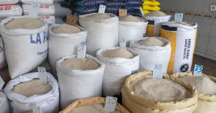 A 20 años del DR-CAFTA, ¿por qué no está preparado el arroz dominicano para competir?