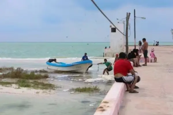 El fenómeno se ha fortalecido en el golfo de México.