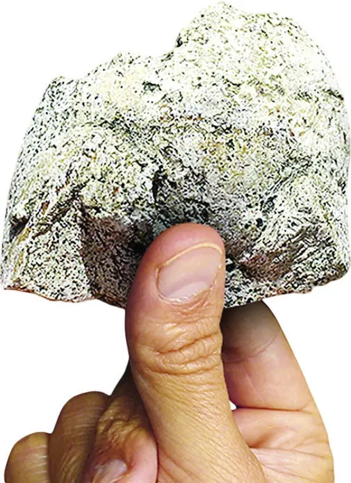 Ambar gris