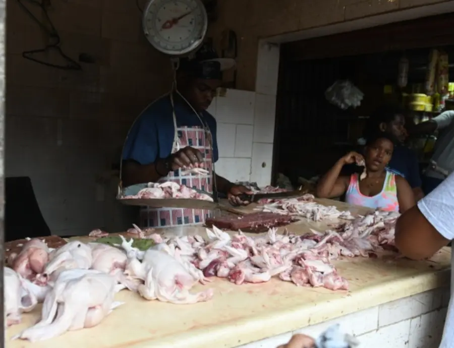 En el país hay unas dos millones de unidades de pollo congelado disponibles en cuartos fríos.