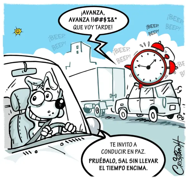 El carrusel de la vida