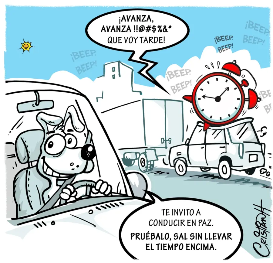 El carrusel de la vida