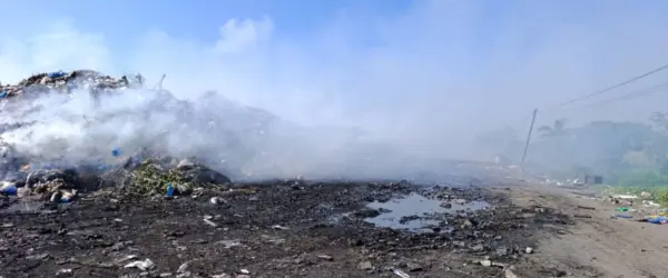 No se avanza en lo sostenible si sólo se siembran árboles o se embellecen avenidas mientras se destruyen los ecosistemas.