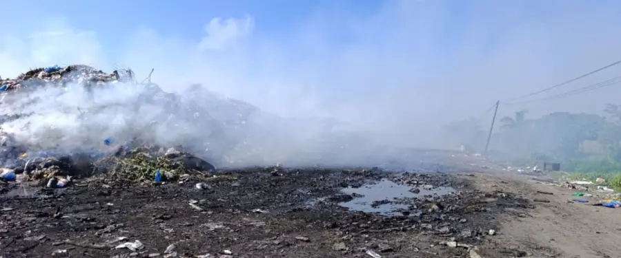 No se avanza en lo sostenible si sólo se siembran árboles o se embellecen avenidas mientras se destruyen los ecosistemas.