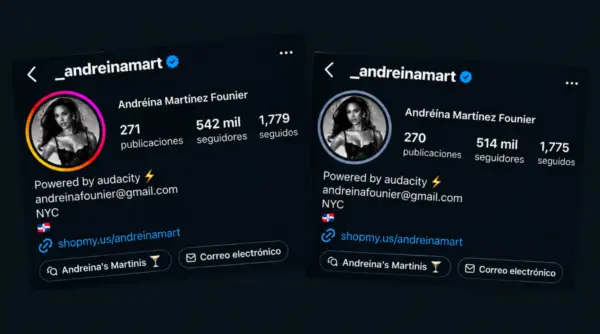 Andreina Martínez Collage.