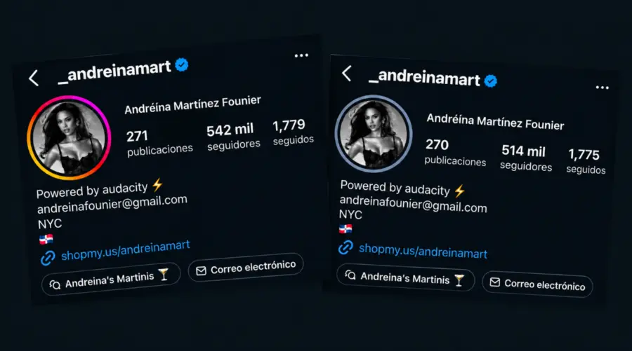 Andreina Martínez Collage.