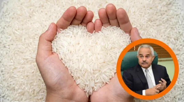 Osmar Benítez cuestiona a quienes buscan generar pánico y reitera la fortaleza del sector arrocero