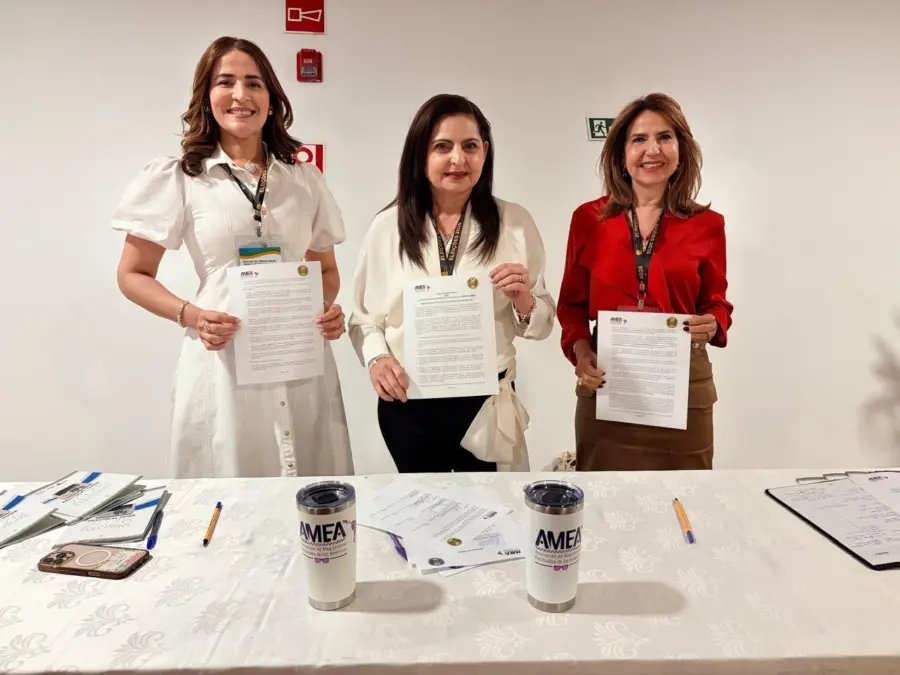 El Tribunal Superior Electoral (TSE) y la Asociación de Magistradas Electorales de las Américas