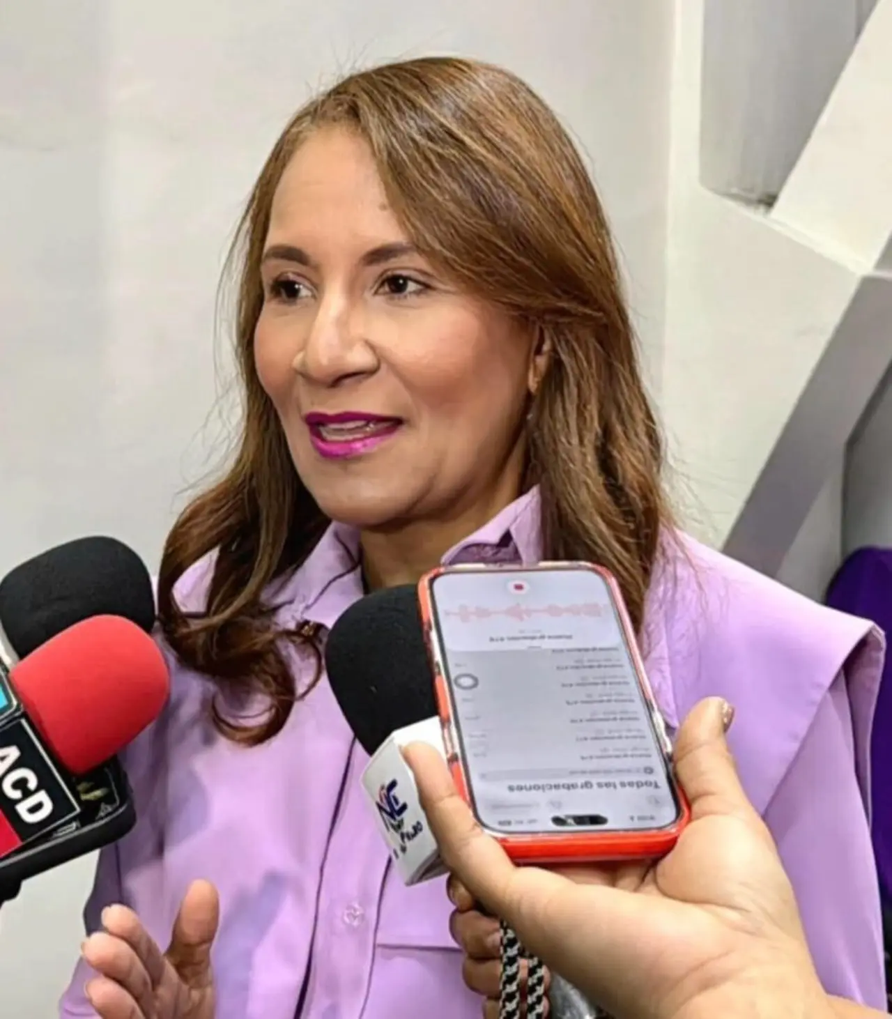 PLD cuestiona cifras del Gobierno sobre viviendas en Ciudad Juan Bosch