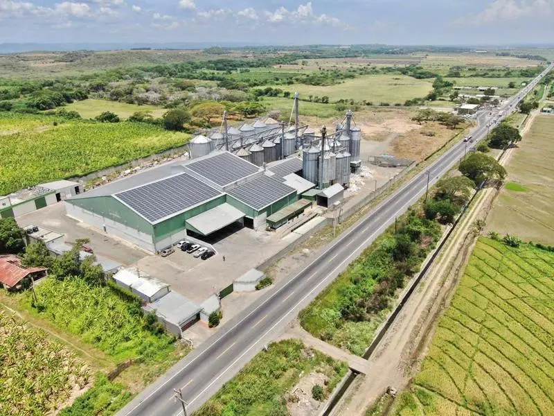 Arroceros piden etiquetar la proporción de arroz dominicano e importado ante mayor competencia