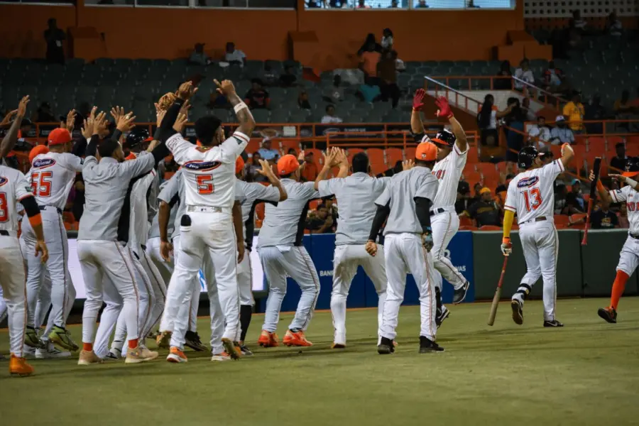 los toros