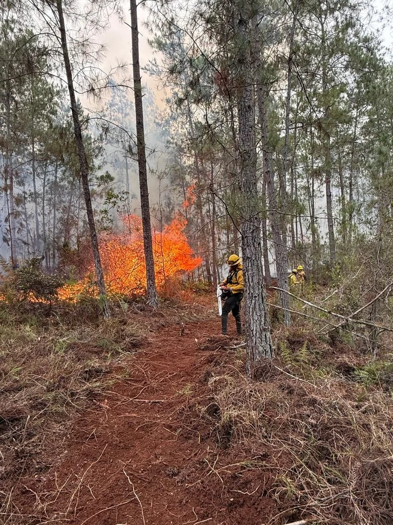 Del 2015 al 2025 en RD se han registrado 2 mil 92 incendios forestales